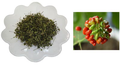 Ginseng Flower Tea 500g