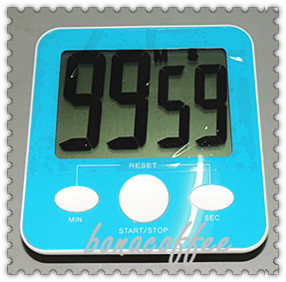 Digital Timer  