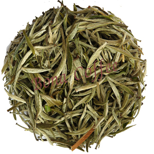 White Silver Needle Tea